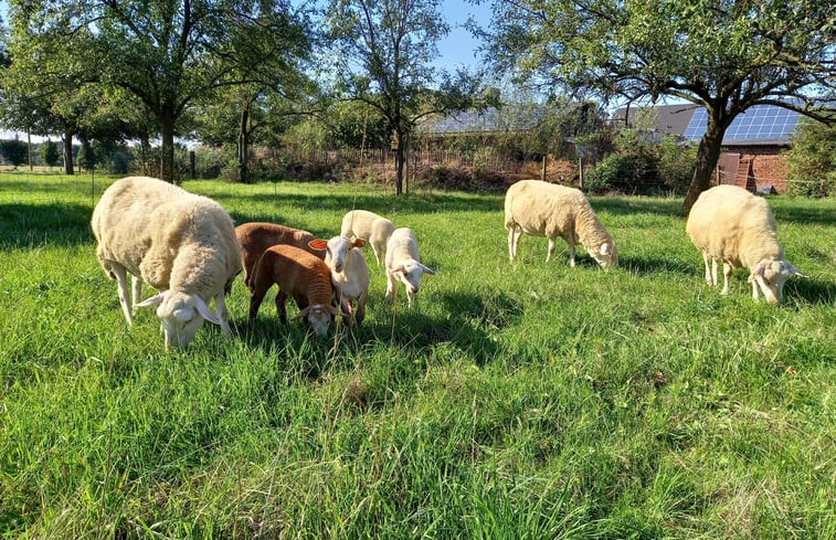 Natuurhuisje in Neukirchen Vluyn