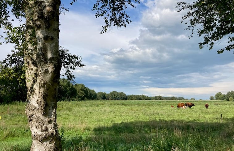 Natuurhuisje in Nieuw Balinge