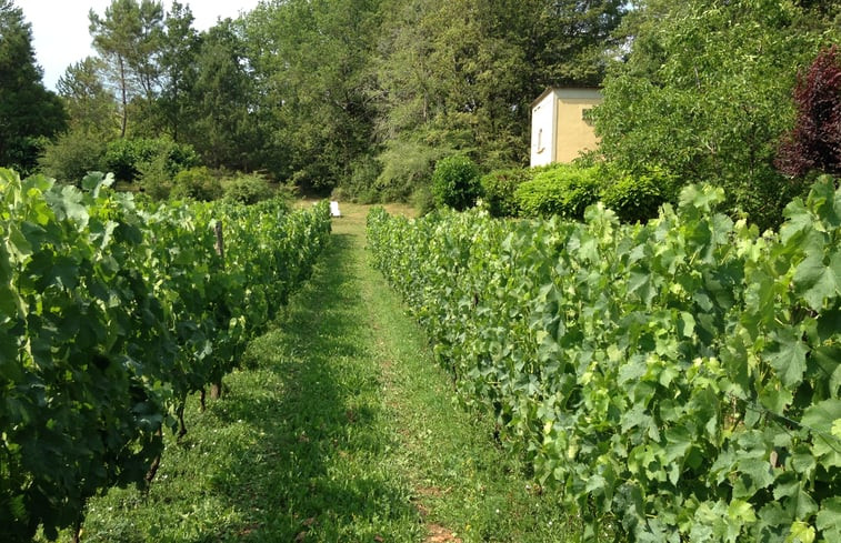 Natuurhuisje in Veyrines de Domme