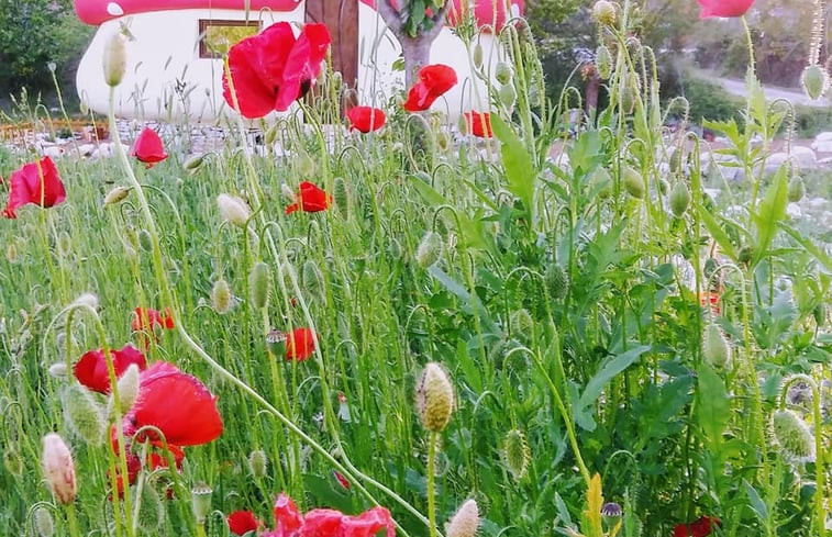 Natuurhuisje in Rupe