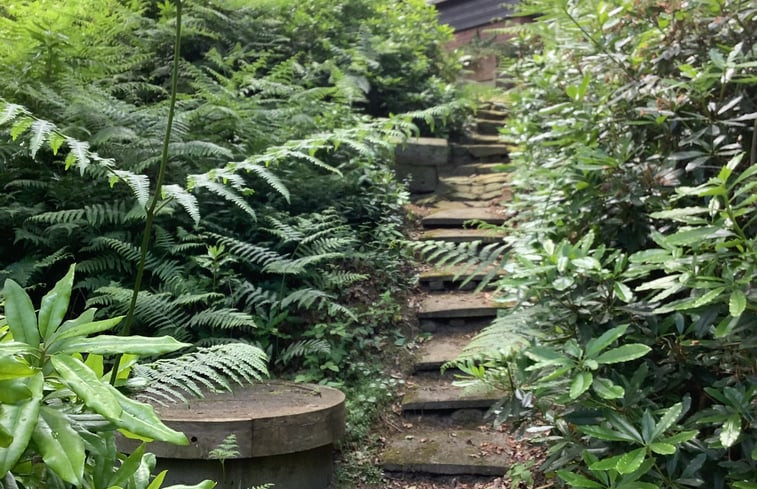 Natuurhuisje in de Lutte