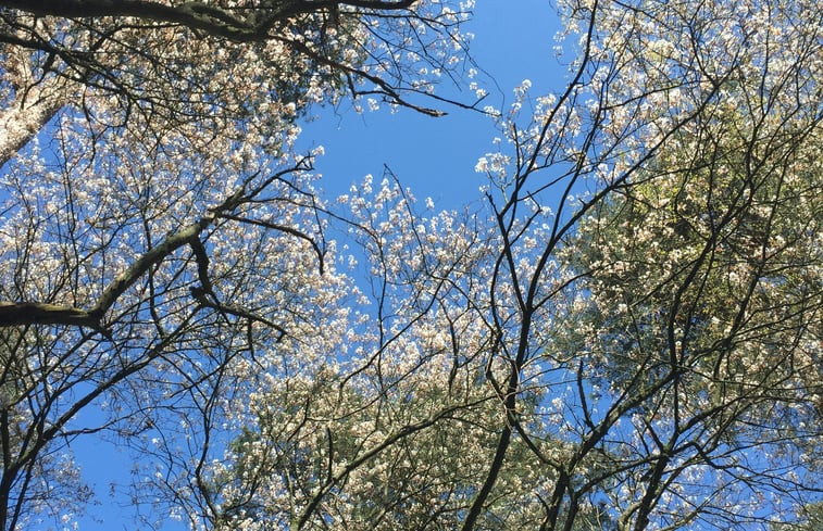 Natuurhuisje in Putten