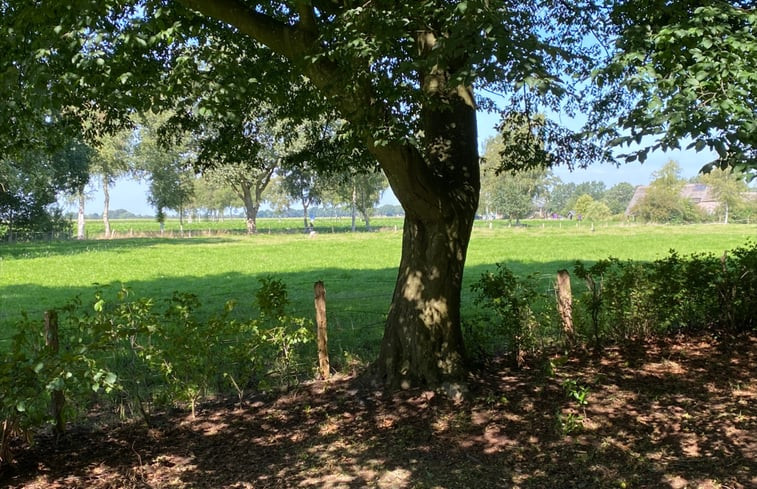 Natuurhuisje in Dwingeloo