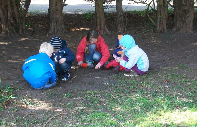 Natuurhuisje in Nieuw-Haamstede