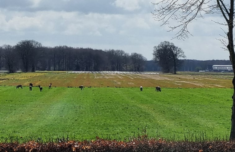 Natuurhuisje in Wapserveen