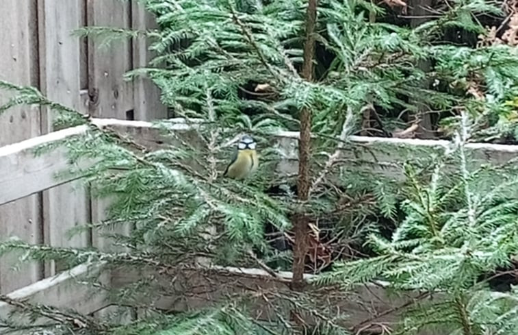 Natuurhuisje in Coo-Stavelot