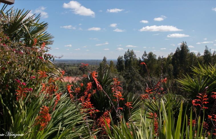 Natuurhuisje in Santiago do Cacém