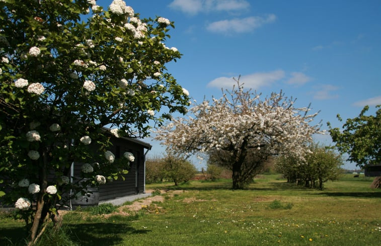 Natuurhuisje in Herveld