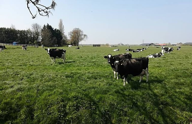 Natuurhuisje in Broek in Waterland