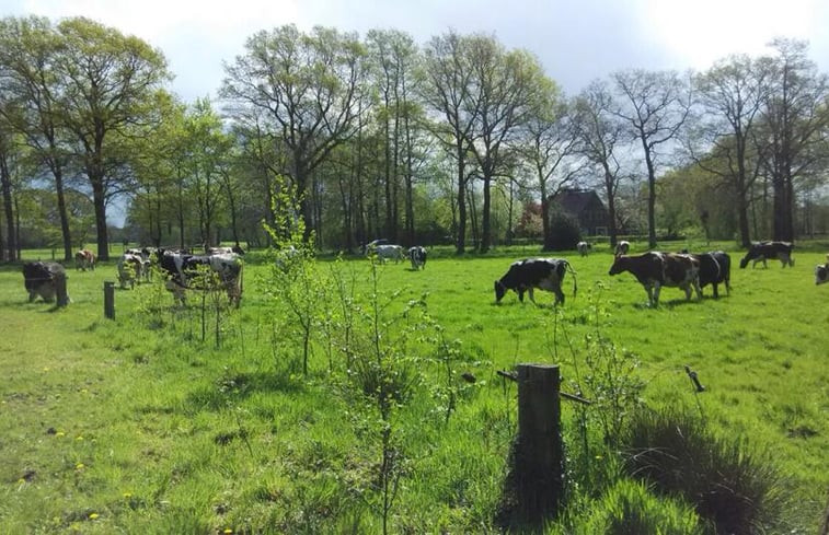 Natuurhuisje in Mander