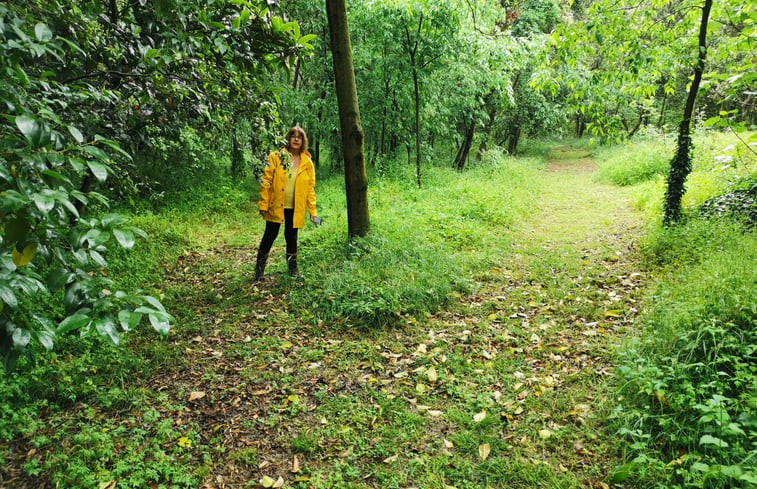 Natuurhuisje in Serinyà