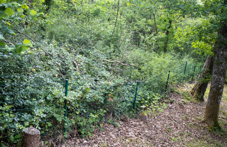 Natuurhuisje in Barvaux-sur-Ourthe