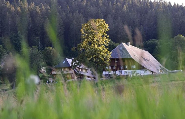 Natuurhuisje in Hinterzarten