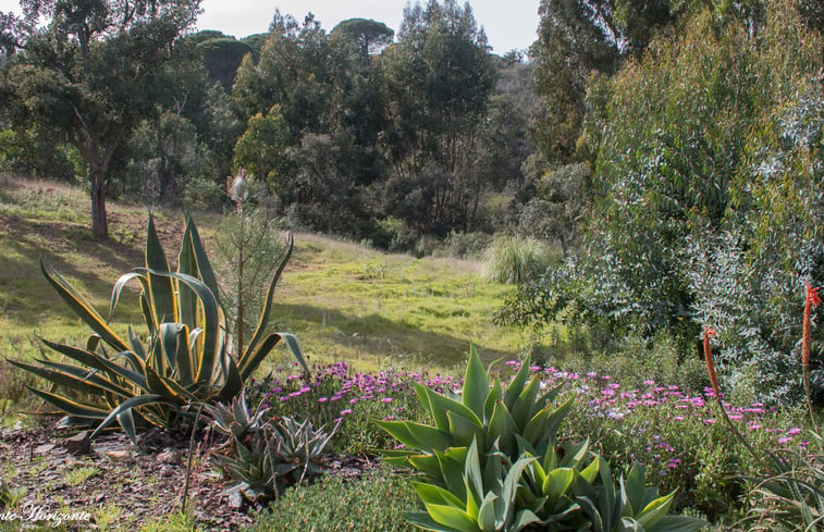 Natuurhuisje in Santiago do Cacém