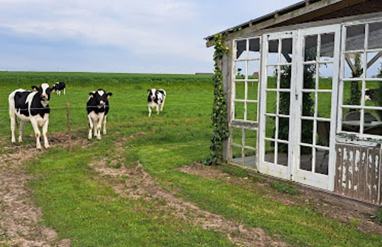 Natuurhuisje in Haringe