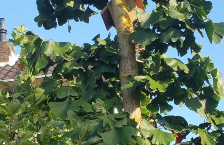 Natuurhuisje in Valkenburg