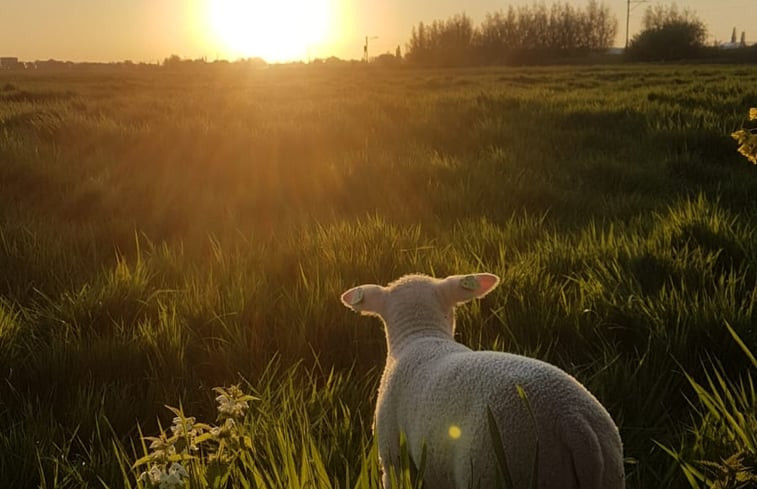 Natuurhuisje in Bodegraven