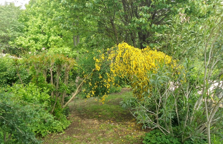 Natuurhuisje in castiglione del lago