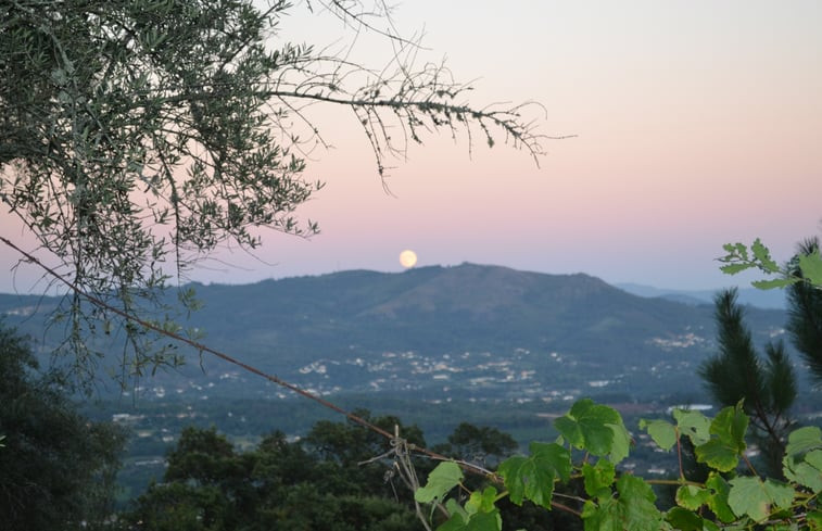 Natuurhuisje in Prado Sao Miquel