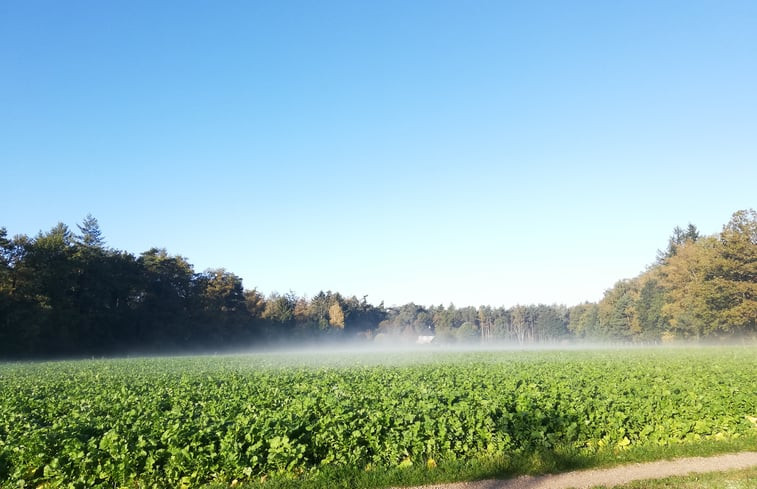 Natuurhuisje in Joppe