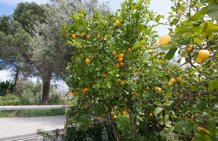 Natuurhuisje in Castiglione di Sicilia