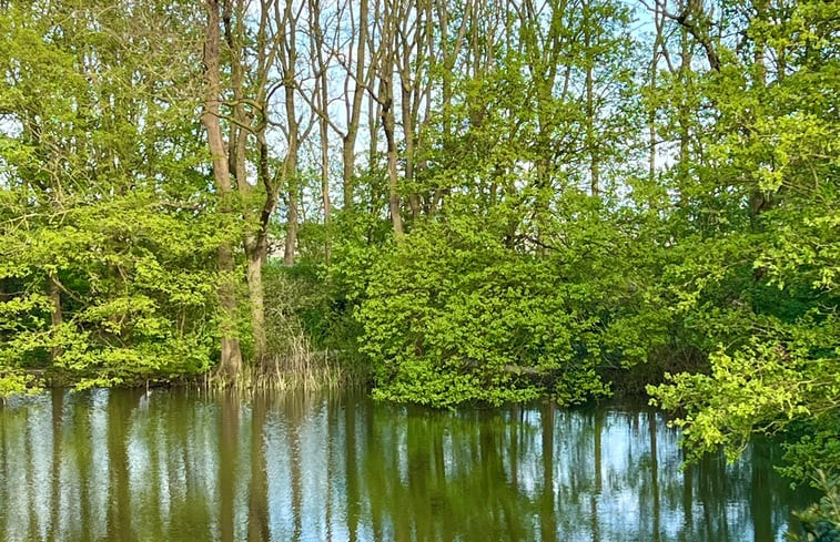 Natuurhuisje in Wissenkerke