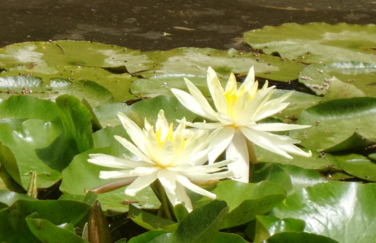 Natuurhuisje in castiglione del lago