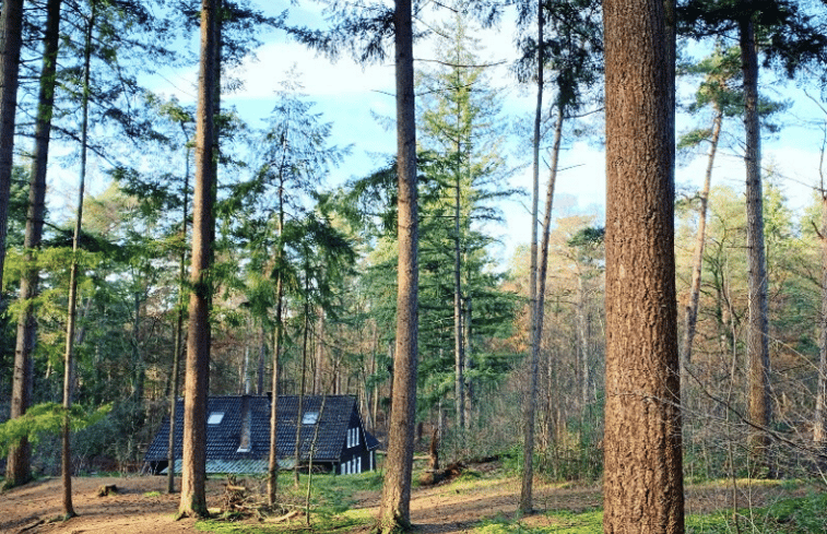 Natuurhuisje in Ommen