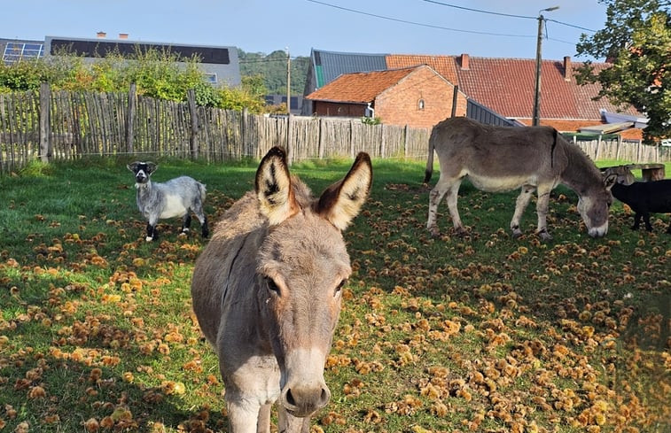 Natuurhuisje in Bekkevoort