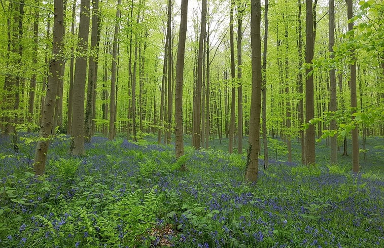 Natuurhuisje in Moressée