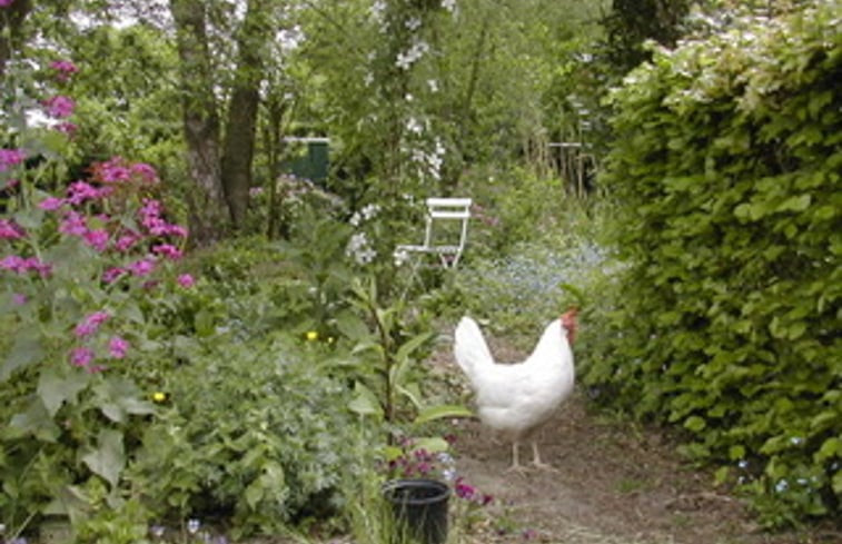 Natuurhuisje in Oost West en Middelbeers