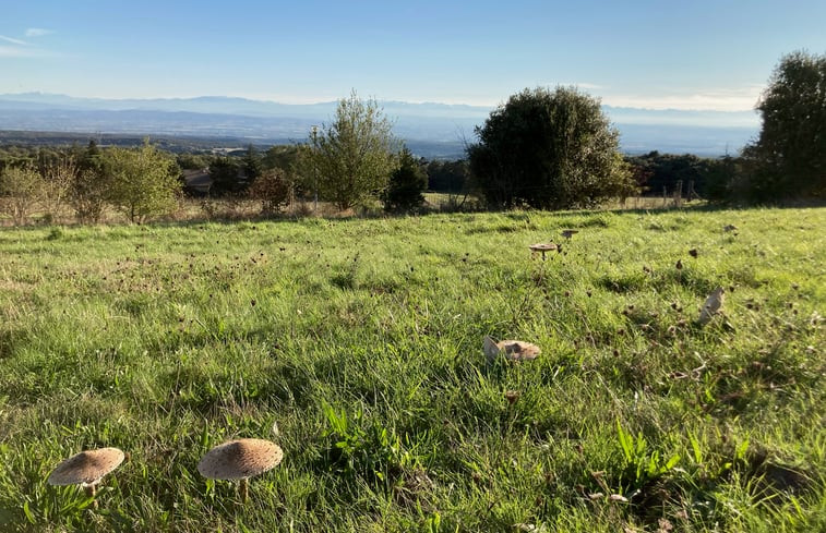 Natuurhuisje in SAISSAC