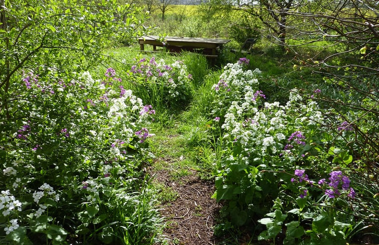 Natuurhuisje in Syke