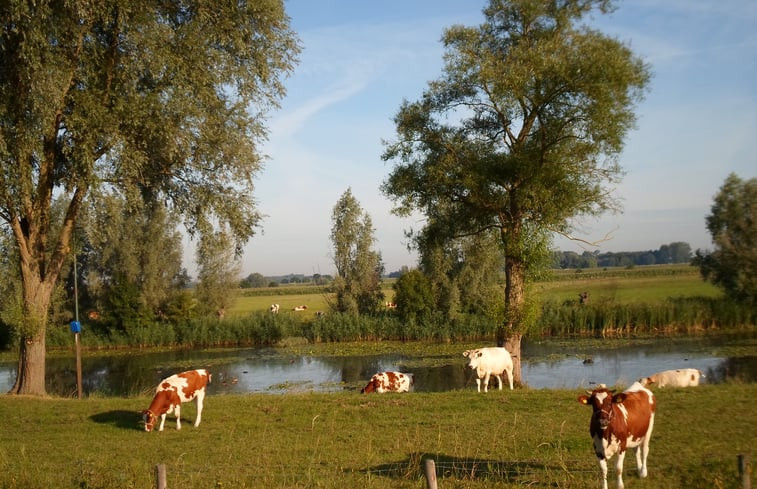 Natuurhuisje in Zalk