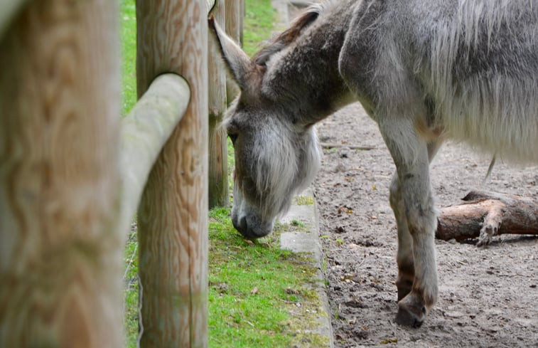 Natuurhuisje in Wehrbleck