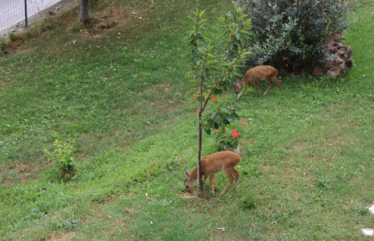 Natuurhuisje in Finale Ligure