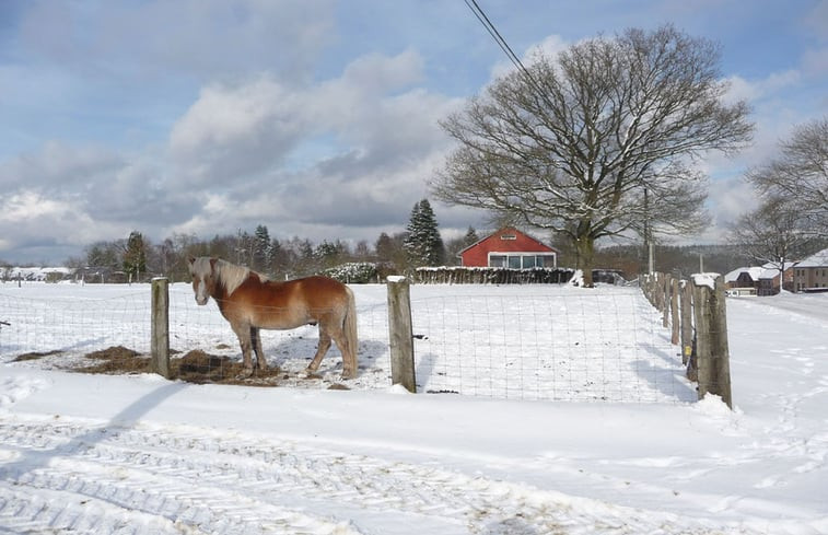 Natuurhuisje in Rienne (Gedinne)