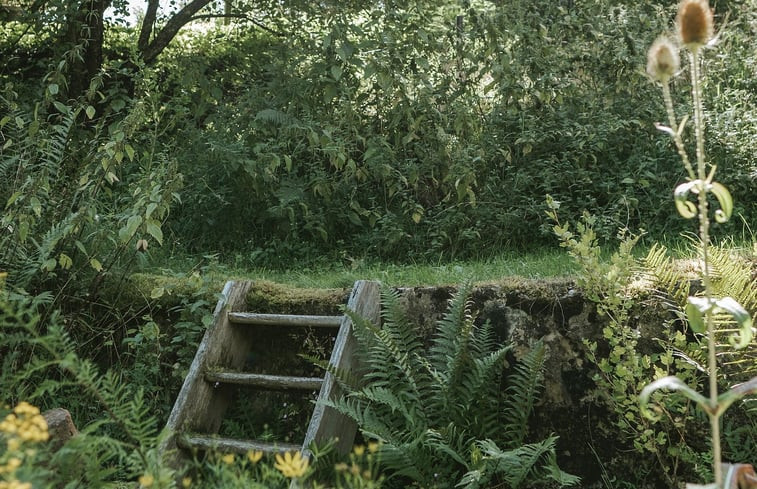 Natuurhuisje in Nohen