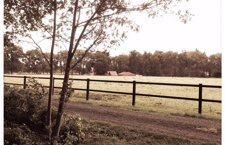 Natuurhuisje in Haaksbergen