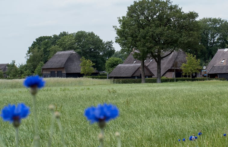 Natuurhuisje in Dwingeloo