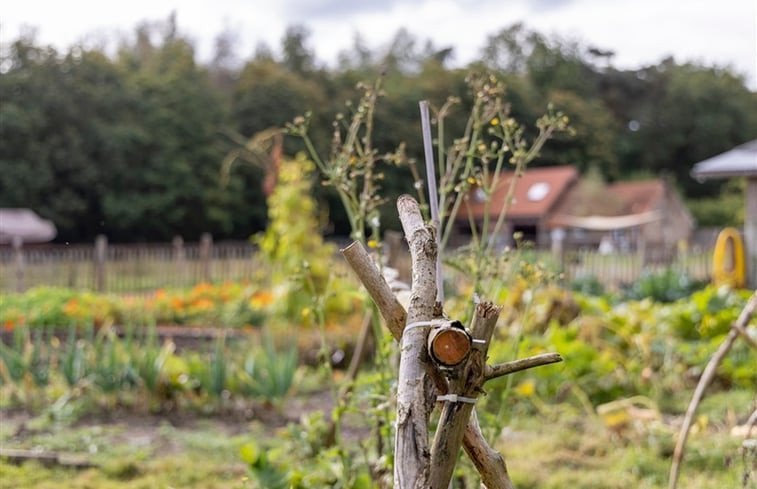 Natuurhuisje in Oelegem