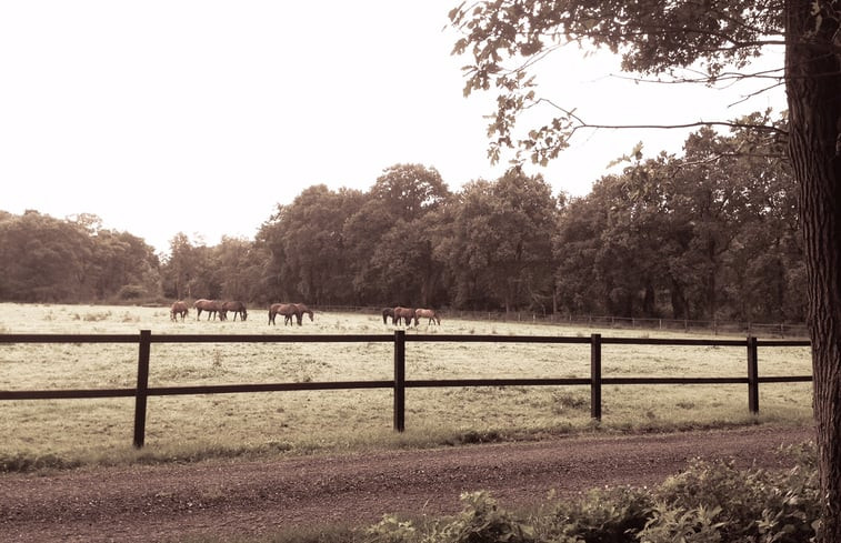 Natuurhuisje in Haaksbergen