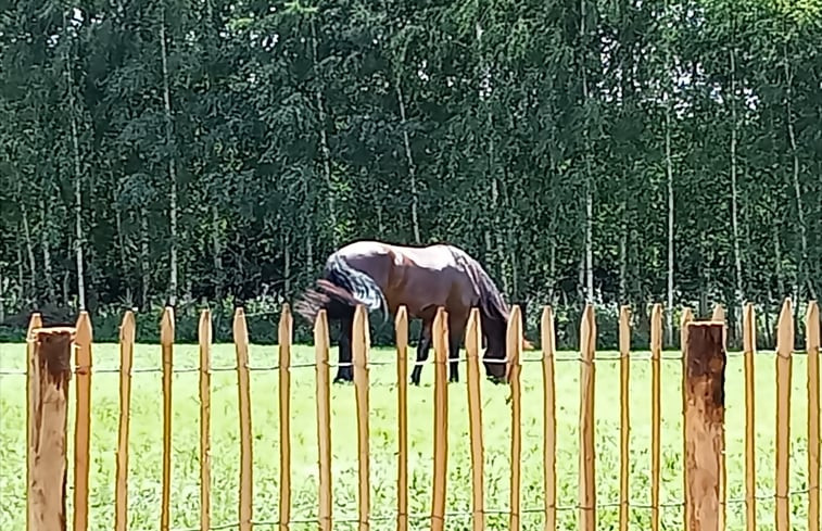 Natuurhuisje in Gameren