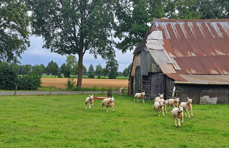 Natuurhuisje in Den Ham