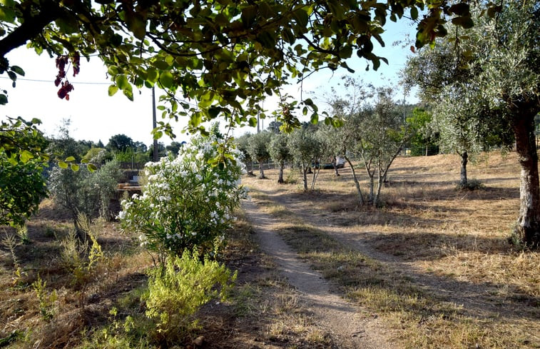 Natuurhuisje in Castelo de Vide