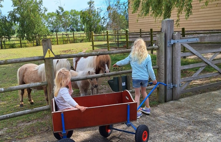 Natuurhuisje in Middelkerke