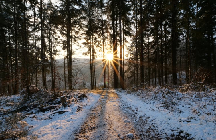 Natuurhuisje in Sosberg