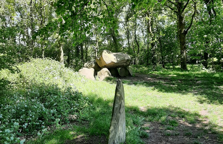 Natuurhuisje in Zuidlaren