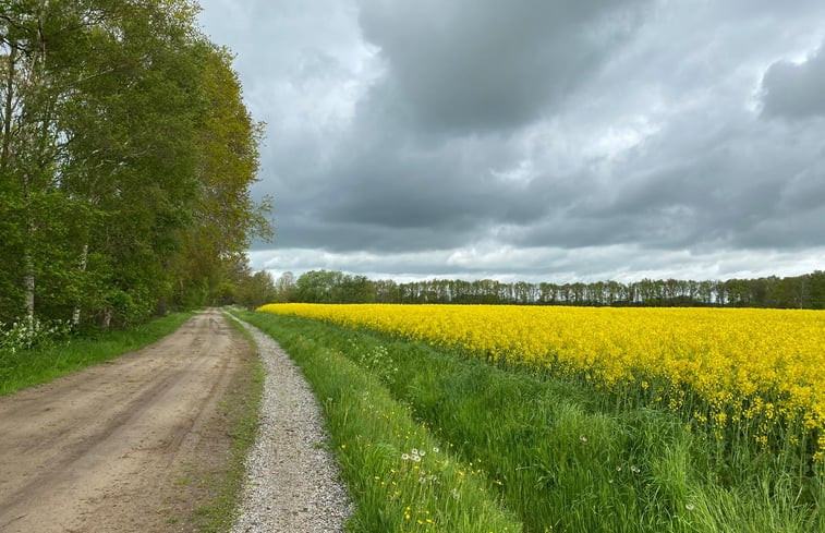 Natuurhuisje in Boijl