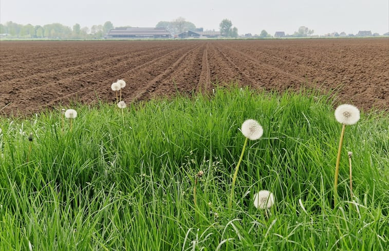 Natuurhuisje in Genderen